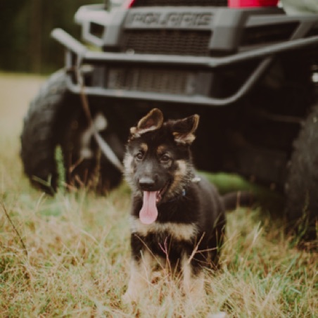 Sideways ears Sideways ears